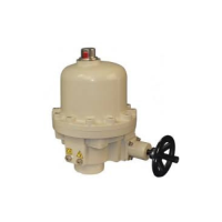 Generic placeholder thumbnail